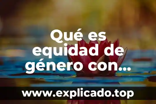 Que es equidad de genero ensayo 8 Qué es equidad de género con información