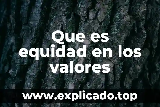 Qué es equidad de género con información 7 Que es equidad en los valores