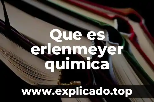 Que es erlenmeyer quimica