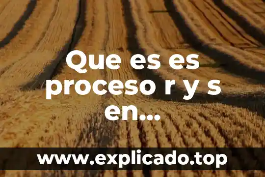 Que es that s en ingles 6 Que es es proceso r y s en recluamiento