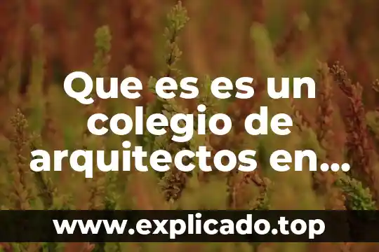 Que es la función segun arquitectos 5 Que es es un colegio de arquitectos en mexico