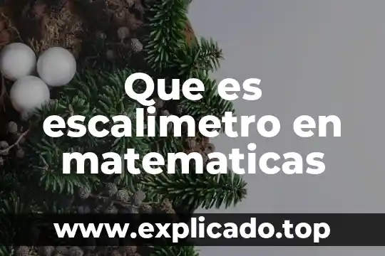 Que es costante en matematicas 3 Que es escalimetro en matematicas