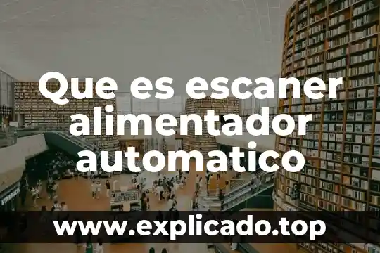 Qué es un bacterias saludable 7 Que es escaner alimentador automatico