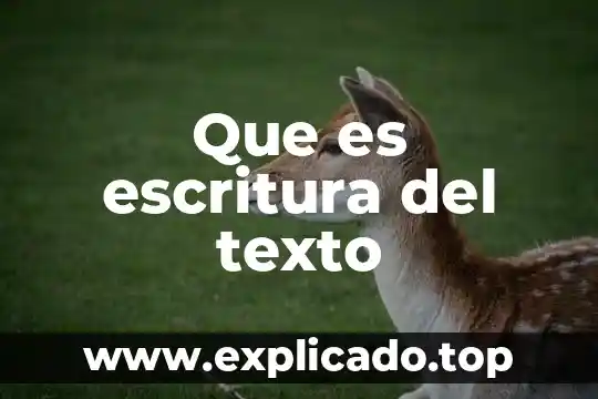 Qué es un código de escritura 8 Que es escritura del texto