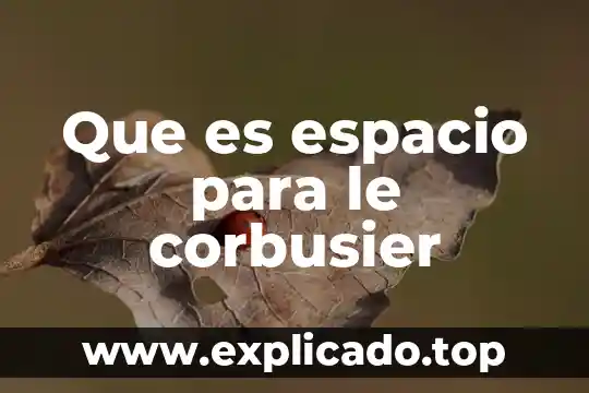 Investigación que es espacio 7 Que es espacio para le corbusier