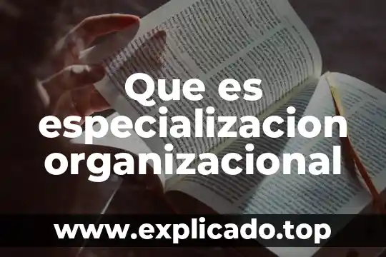 Que es el cartucho de carbon activo 6 Que es especializacion organizacional