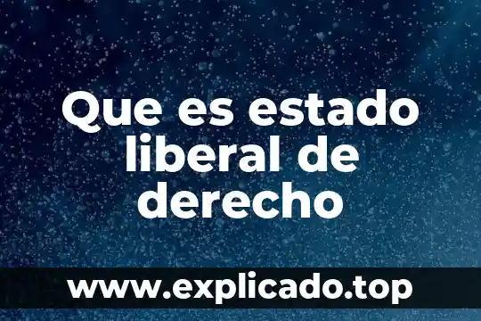 Que es un modelo de corte liberal 3 Que es estado liberal de derecho