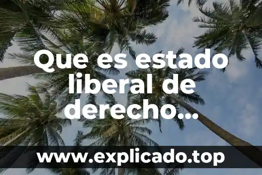 Que es estado liberal de derecho 5 Que es estado liberal de derecho definicion