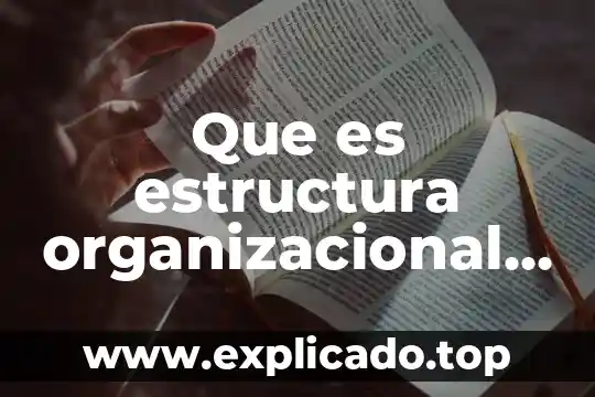 Que es el desarrollo organizacional caracteristicas etapas de proceso 7 Que es estructura organizacional en la contabilidad por areas