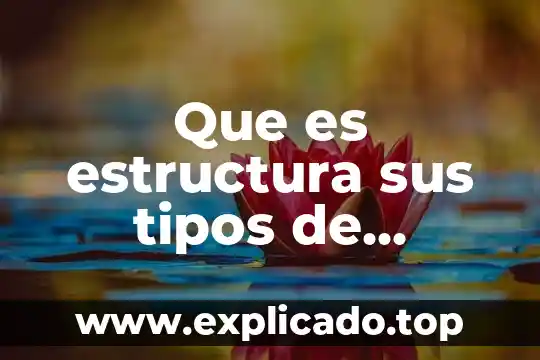 Que es estructura sus tipos de cambio