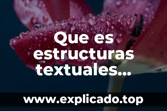 En estructuras que es el o 5 Que es estructuras textuales léxicas