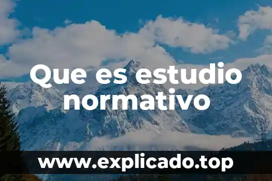 Que es estudio perfomance 8 Que es estudio normativo