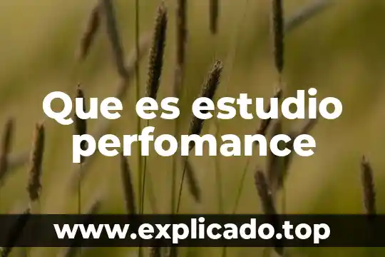 Que es estudio normativo 4 Que es estudio perfomance