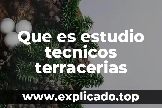 Que es la resulucion de problemas en tecnicos 3 Que es estudio tecnicos terracerias