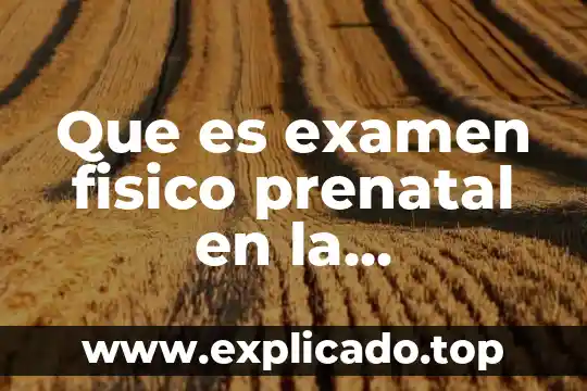 Que es examen fisico prenatal en la embarazada