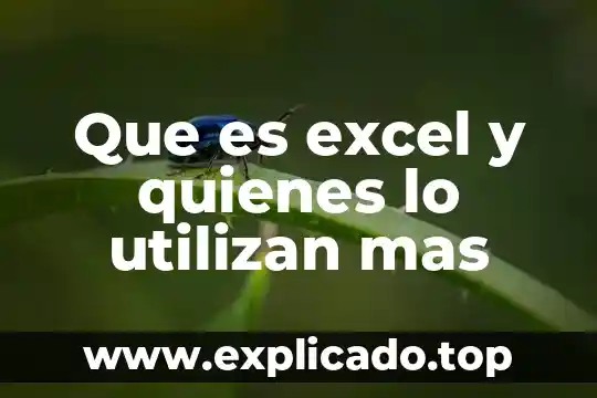 Que es rendimiento real en quimica 8 Que es excel y quienes lo utilizan mas