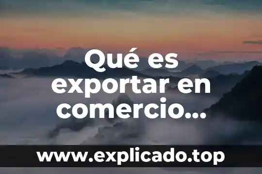 Que es miscelanea del comercio exterior 3 Qué es exportar en comercio exterior