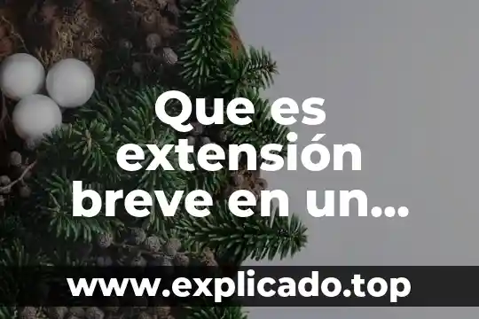 Que es el narcotrafico concepto breve 6 Que es extensión breve en un texto
