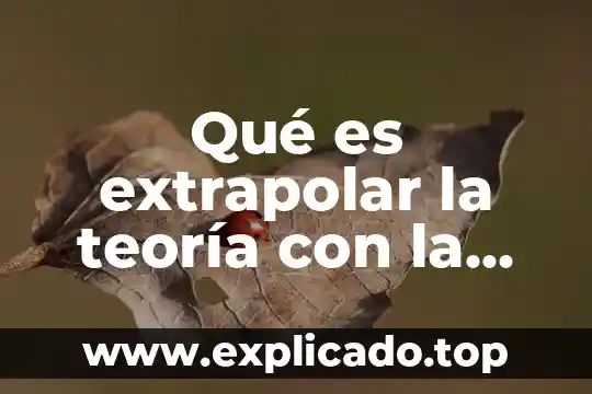 Que es la experiencia de aprendizaje en inicial 5 Qué es extrapolar la teoría con la experiencia