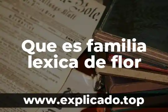Que es la familia léxica de flor 8 Que es familia lexica de flor