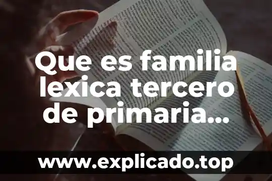 Que es la familia léxica de flor 6 Que es familia lexica tercero de primaria paco el chato
