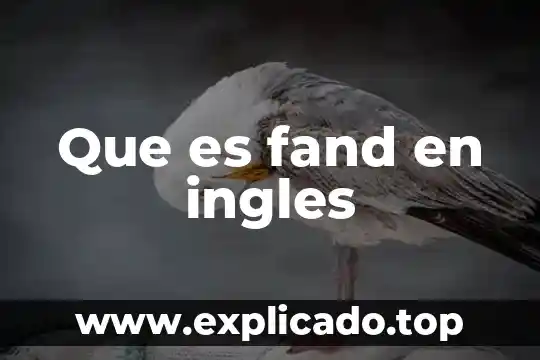 Que es ser un prodigo 5 Que es fand en ingles