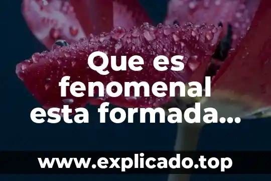 Que es una sal quimica y como esta formada 4 Que es fenomenal esta formada por
