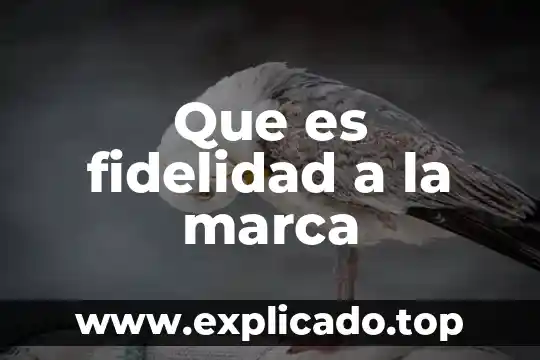 Que es la marca db 8 Que es fidelidad a la marca