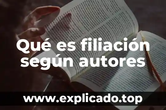 Que es competitividad según el foro económico mundial 4 Qué es filiación según autores