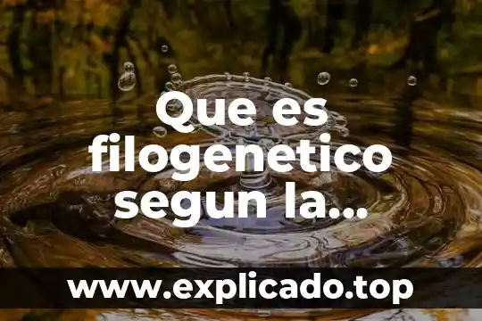 Que es un acto inseguro segun la gtc 45 6 Que es filogenetico segun la psicologia
