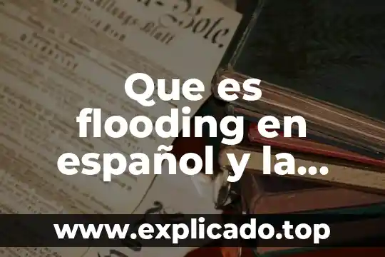Que es un glosario ejemplo hacer un glosario de español 7 Que es flooding en español y la informacion