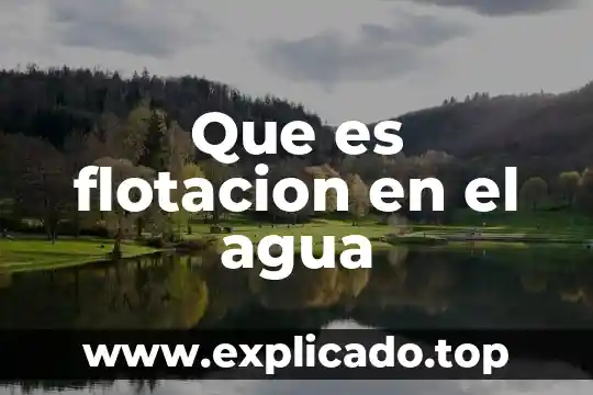 Que es flotacion en el agua