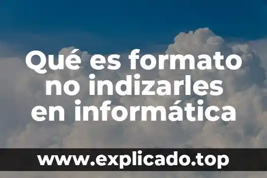 Que es reconocimiento del formato del enunciado 8 Qué es formato no indizarles en informática