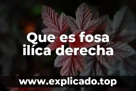 Que es derecha en partido de gobiernoyputube 5 Que es fosa ilíca derecha