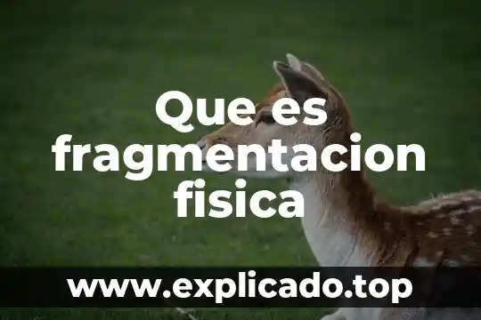 Que es persona fisica con actividad empresarial por asimilados 3 Que es fragmentacion fisica