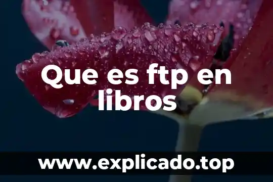 Que es el agua declorada 5 Que es ftp en libros