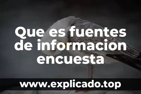 Que es la encuesta más importante del mundo sobre 5 Que es fuentes de informacion encuesta