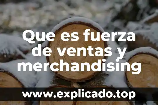 Visual merchandising que es 4 Que es fuerza de ventas y merchandising