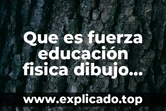Qué es una escala de reducción en dibujo técnico 8 Que es fuerza educación fisica dibujo facil