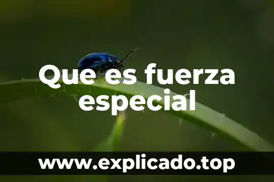 Que es fuerza especial