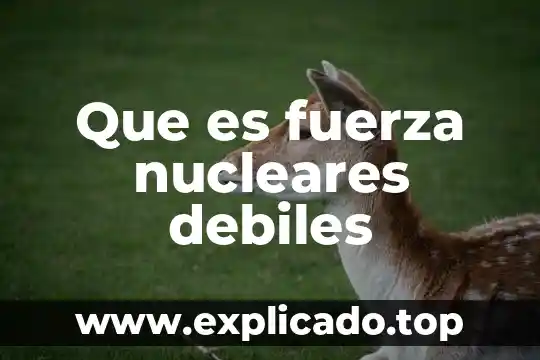 Que es bueno de carnada para pescar 4 Que es fuerza nucleares debiles