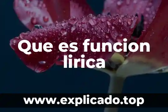 Que es funcion lirica