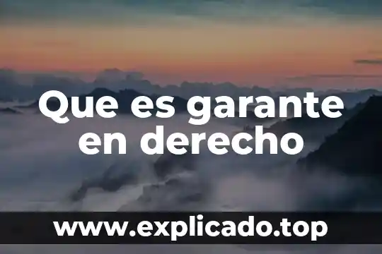Que es el derecho de usuario 5 Que es garante en derecho