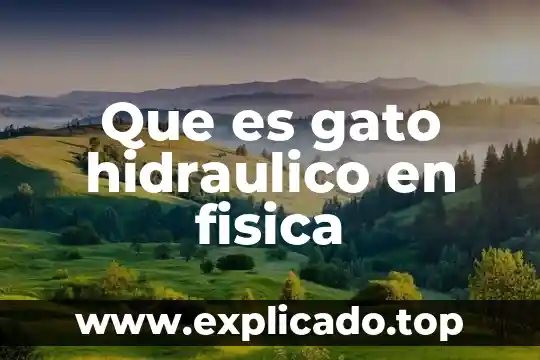 ¿Qué es más rápido, un gato o un perro? 7 Que es gato hidraulico en fisica