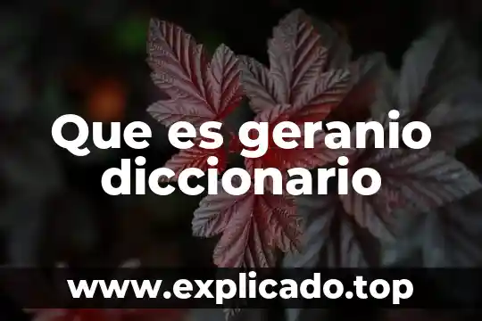 Que es kamikaze diccionario 8 Que es geranio diccionario