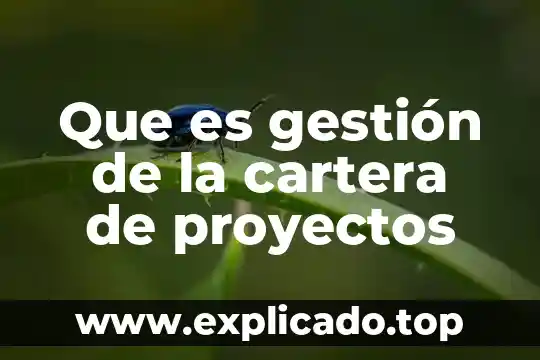 Cartera de credito y cobranza que es 5 Que es gestión de la cartera de proyectos