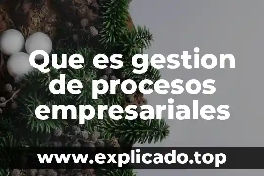 Que es teorias empresariales 3 Que es gestion de procesos empresariales
