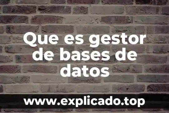 Que es la ingenieria inversa bases de datos 7 Que es gestor de bases de datos