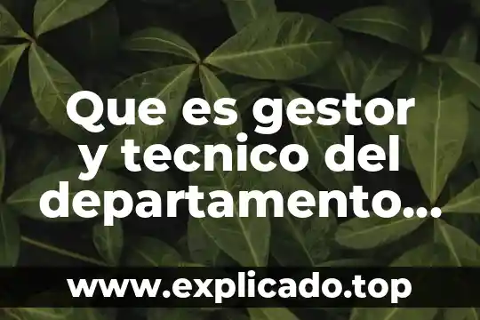 Que es el arte por internet 7 Que es gestor y tecnico del departamento de recursos