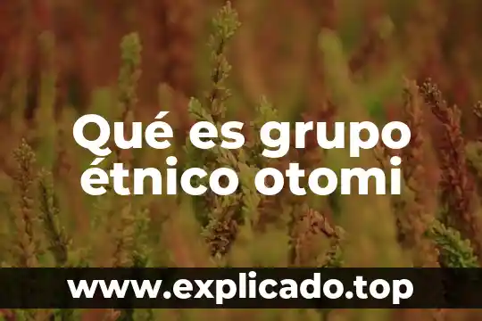 Que es un grupo etnico cultural 6 Qué es grupo étnico otomi